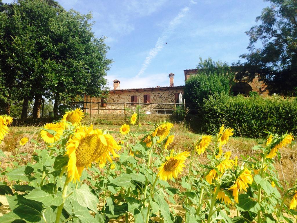 Poggio Cantarello Vacanze Chiusi Exterior photo